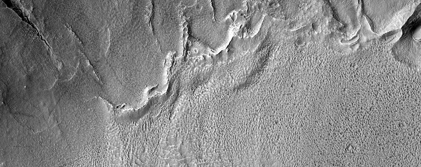 Gullies in Crater West of Newton Crater