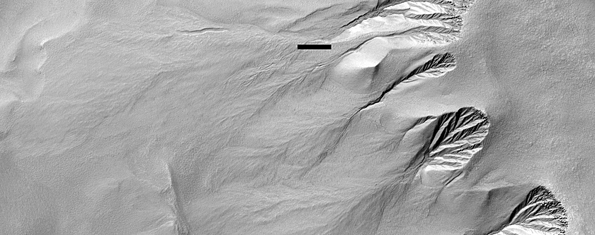 Gullies in Lyell Crater