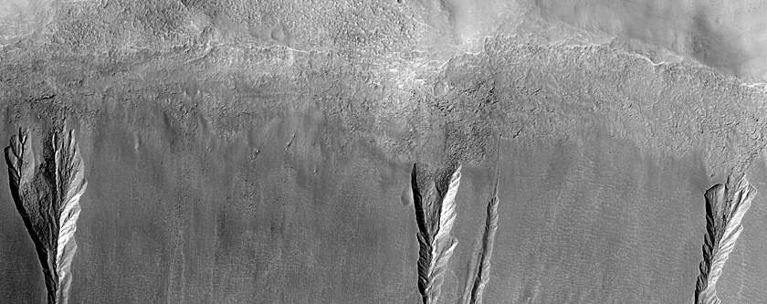 Gully Monitoring