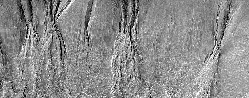 Gullies in Crater