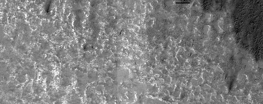 South Polar Monitoring