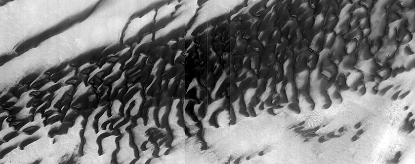 Dune Monitoring in Lyot Crater