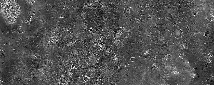Terrain Sample