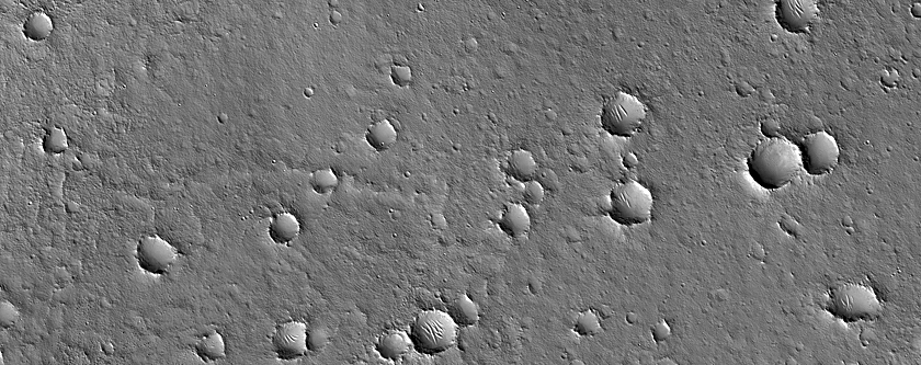 Terrain Sample
