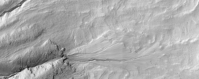 Gully Monitoring  