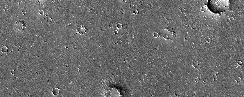 Terrain Sample