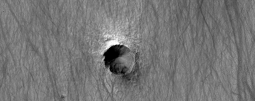 Gully Monitoring