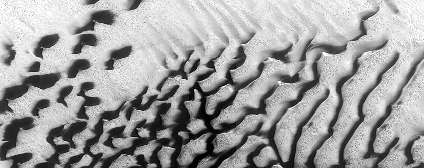 Dune Monitoring in Crater