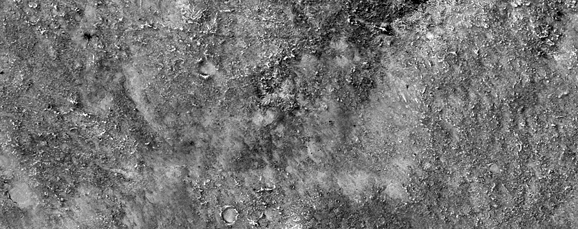Albedo Monitoring in Solis Planum