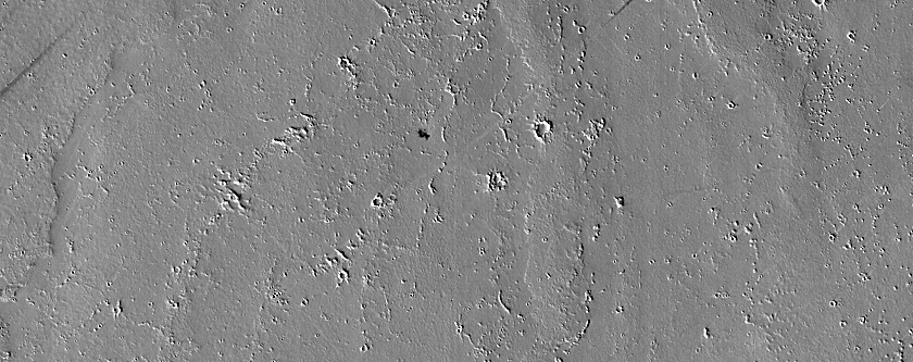 Terrain Sample