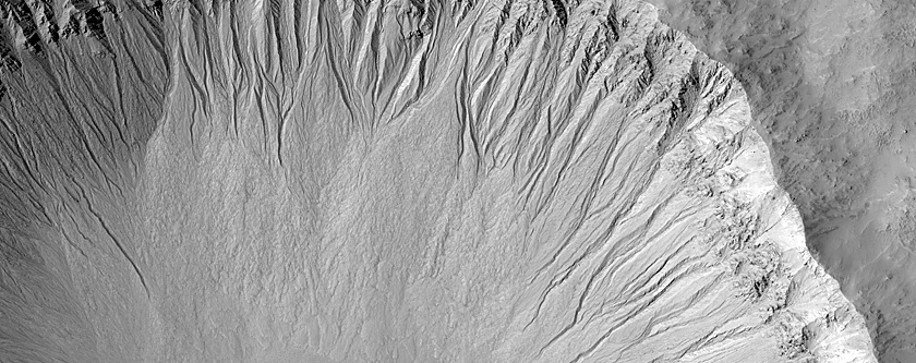 Galap Crater Gullies