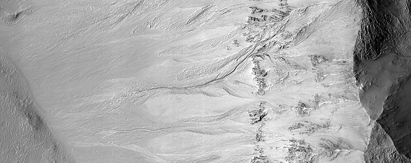 Gully Monitoring