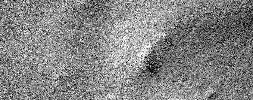 Terrain Sample
