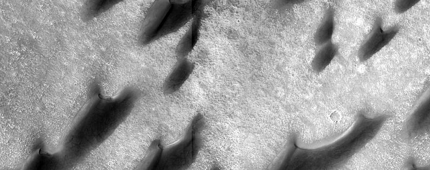 Dunes in Arkhangelsky Crater
