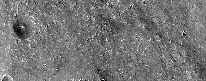 Terrain Sample