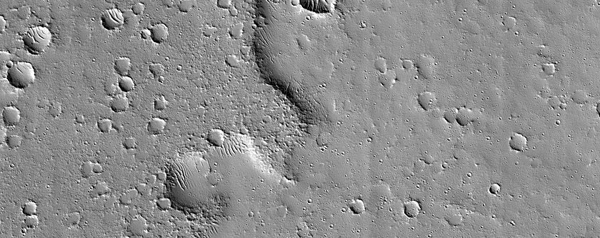 Terrain Sample