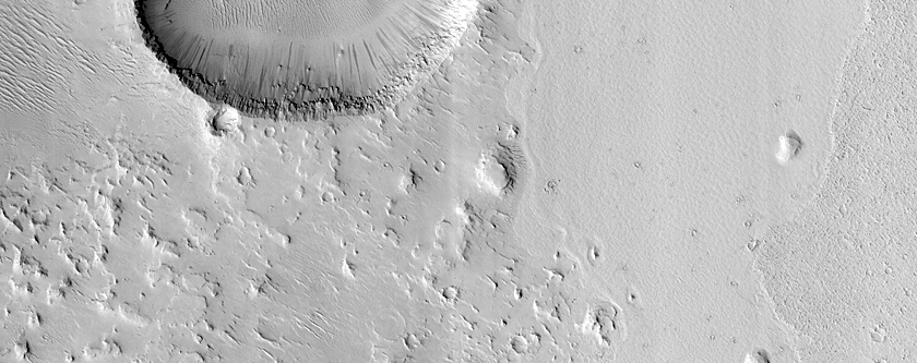 Lava Margin in Elysium Planitia