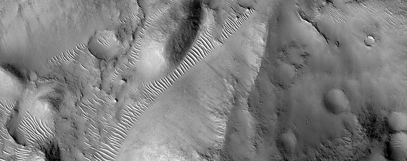 Terrain Sample