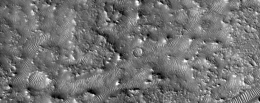 Terrain Sample
