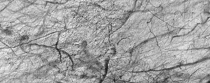 Terrain Sample