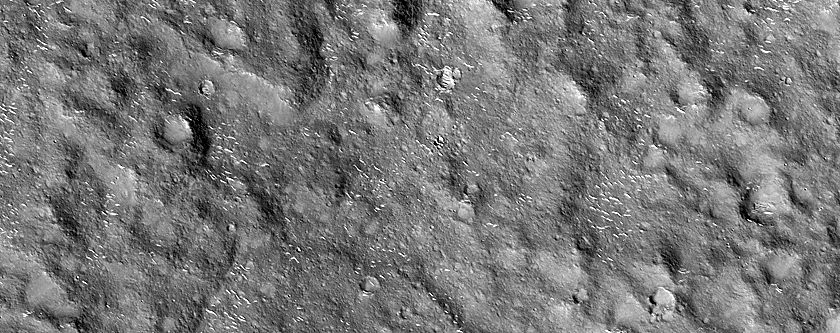 Terrain Sample