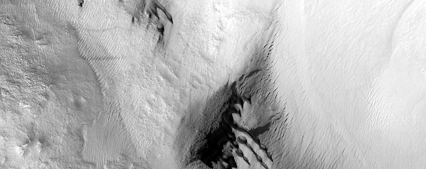 Dune Monitoring in Lyot Crater