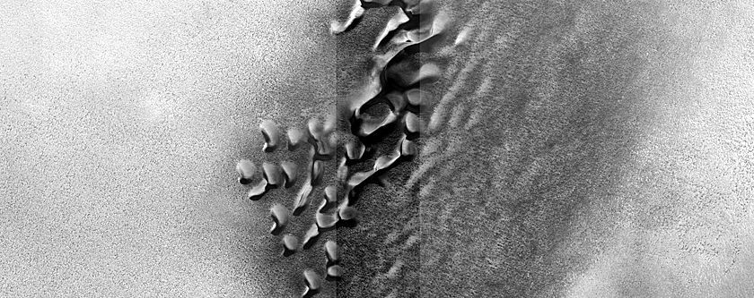 Dune Monitoring in Crater