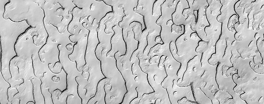 South Polar Residual Cap Mosaic Campaign