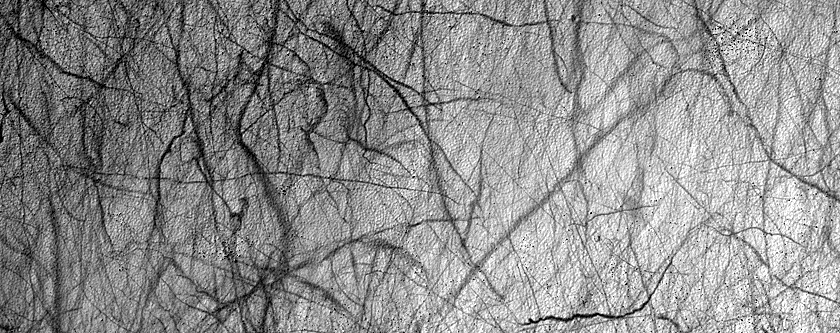 Terrain Sample