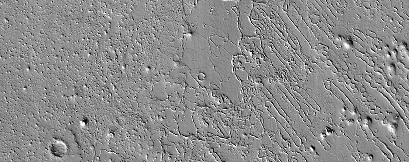 Southern Amazonis Planitia