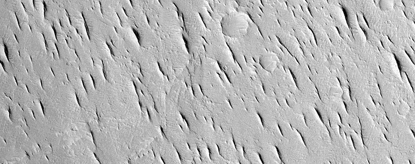 Field of Yardangs in Aeolis Region