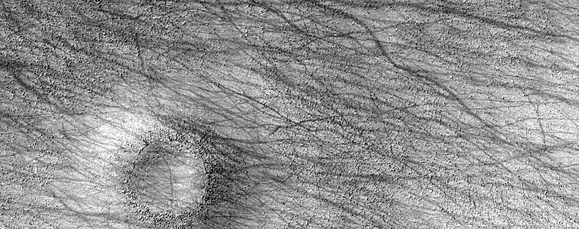 Terrain Sample