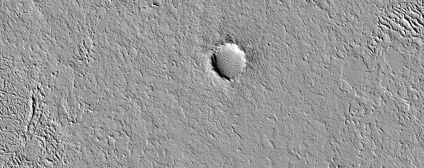 Terrain Sample