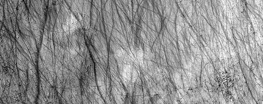 Dark Filamentary Streak Year-Round Monitor Site in Noachis Terra