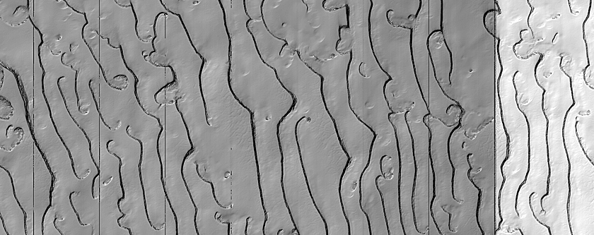 South Polar Residual Cap Mosaic Campaign