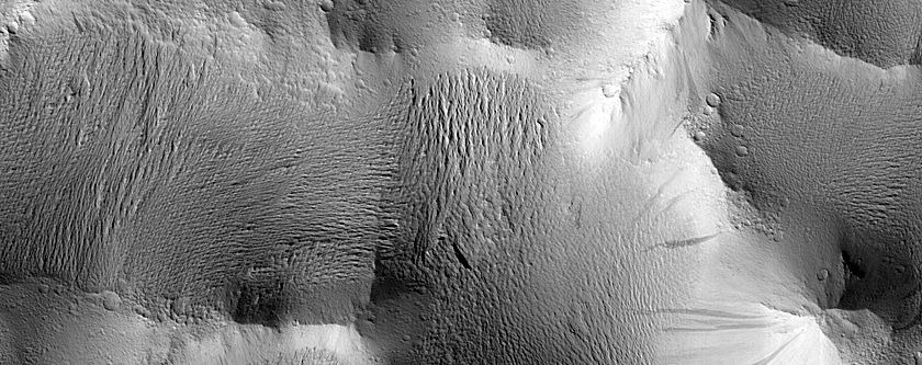 Lycus Sulci