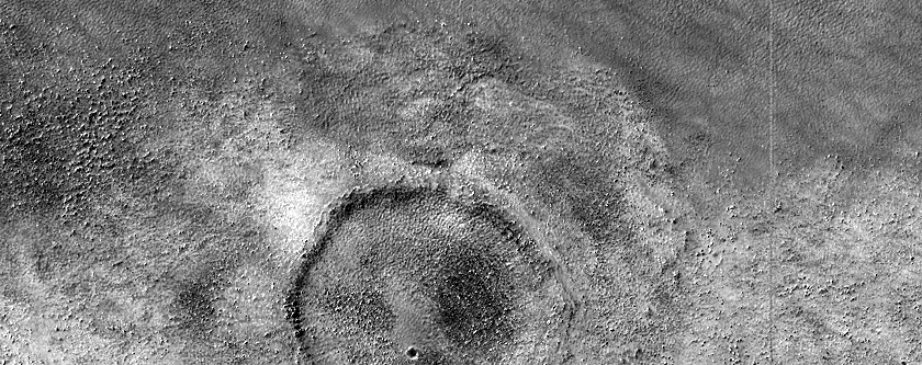 Searching for Dust Devil Tracks