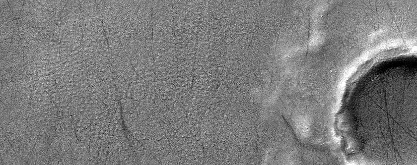 Terrain Sample