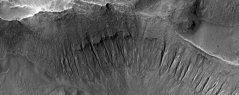 Gully Monitoring