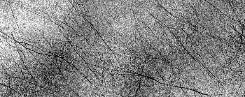 Terrain Sample