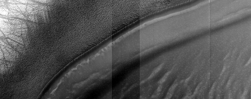 USGS Dune Database Entry Number 1216-734