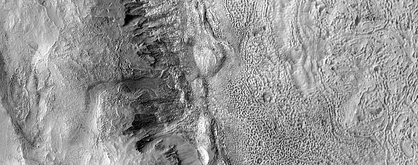 Gully Monitoring