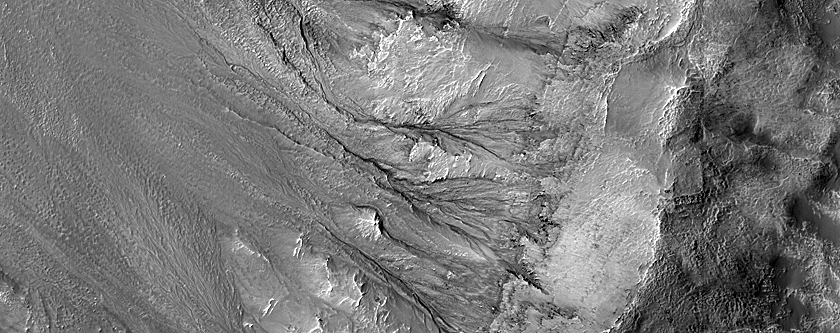 Slope Features in Palikir Crater