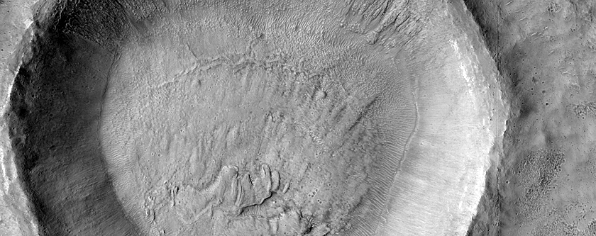 Gully Monitoring