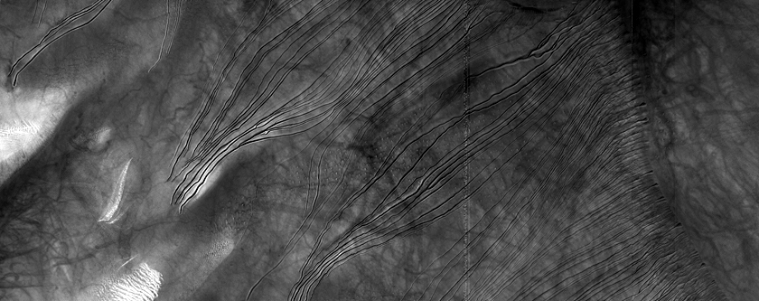 Monitor Changes Among Russell Crater Dunes and Gullies