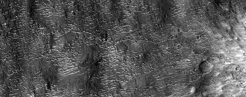 Terrain Sample in Samara Valles