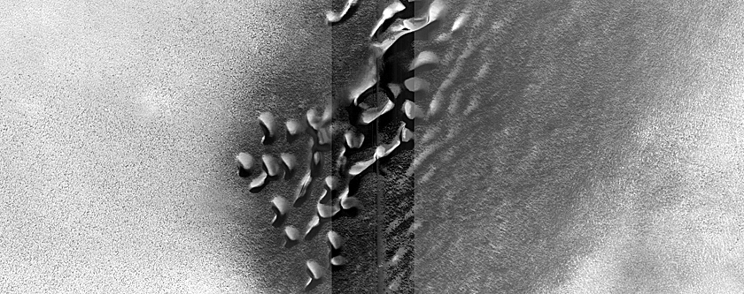 Dune Monitoring in Crater