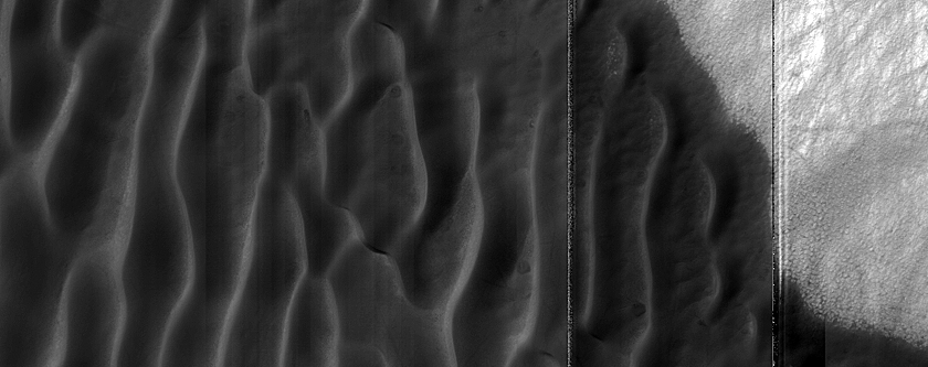 USGS Dune Database Entry Number 1851-675 Monitoring