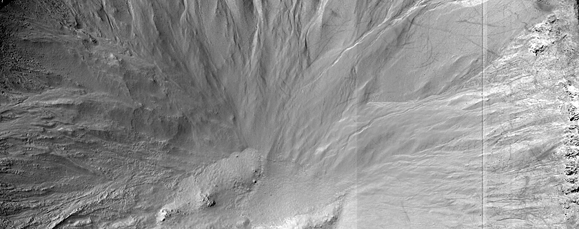 Gully Monitoring