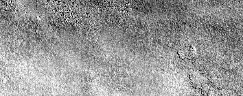 Terrain Sample